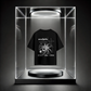 "Spider Premium Oversized Tees"